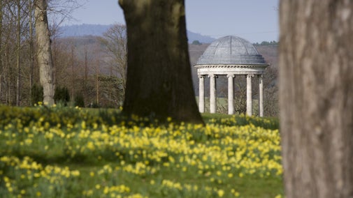 The rotunda with yellow daffodils in the foreground in Petworth's pleasure garden.